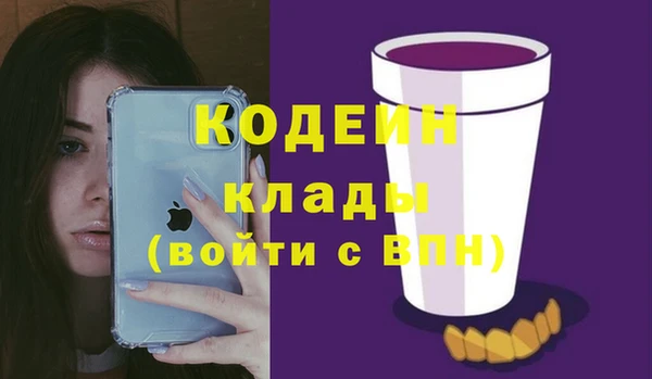 мдпв Киреевск