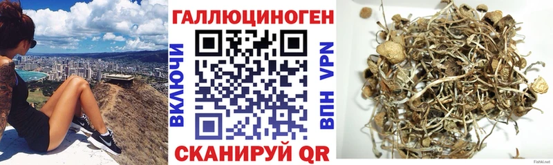 Псилоцибиновые грибы прущие грибы  Купить  Аркадак 